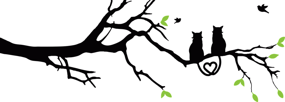 Antidote Veggie Clipart (960x346), Png Download