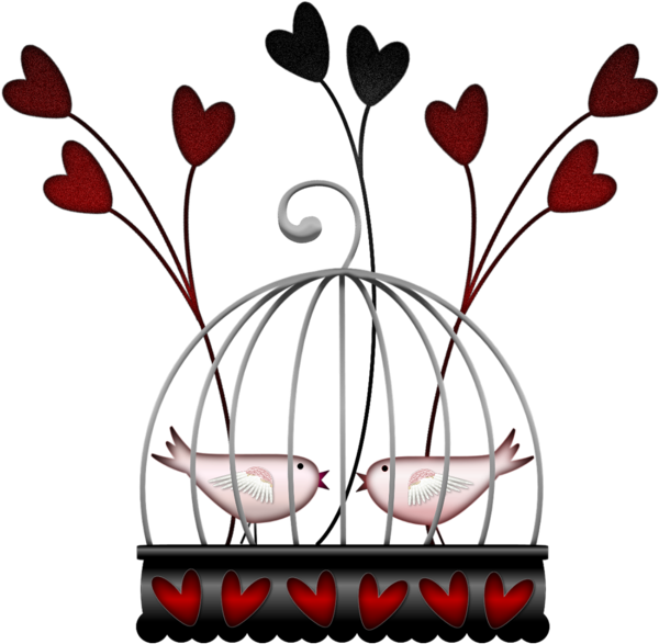 Explore Album, Bird Cages, And More Clipart (600x600), Png Download