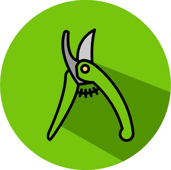 Enero Clipart (586x585), Png Download