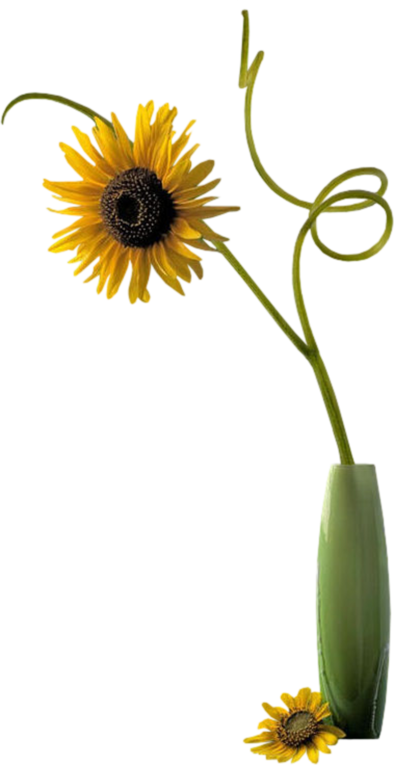 Photo Vase De Fleurs Clipart (800x1553), Png Download