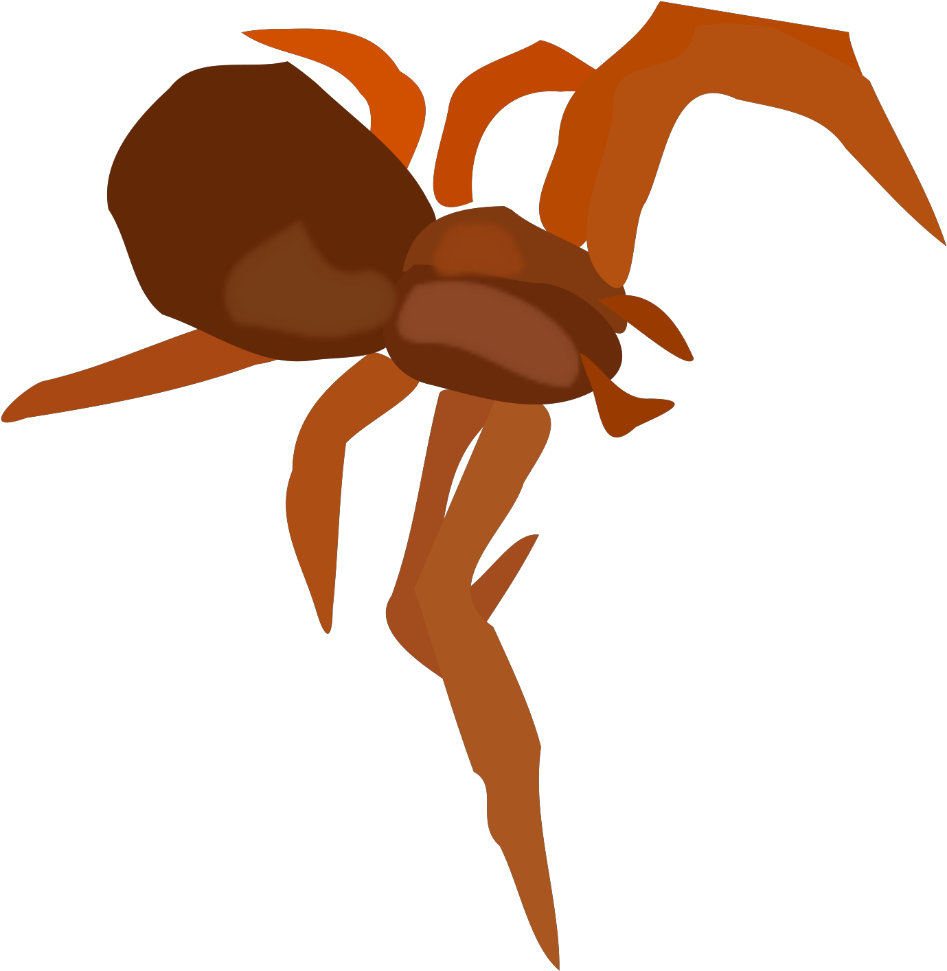 Arachnid Spider, Insect, Arachnid Clipart (624x640), Png Download