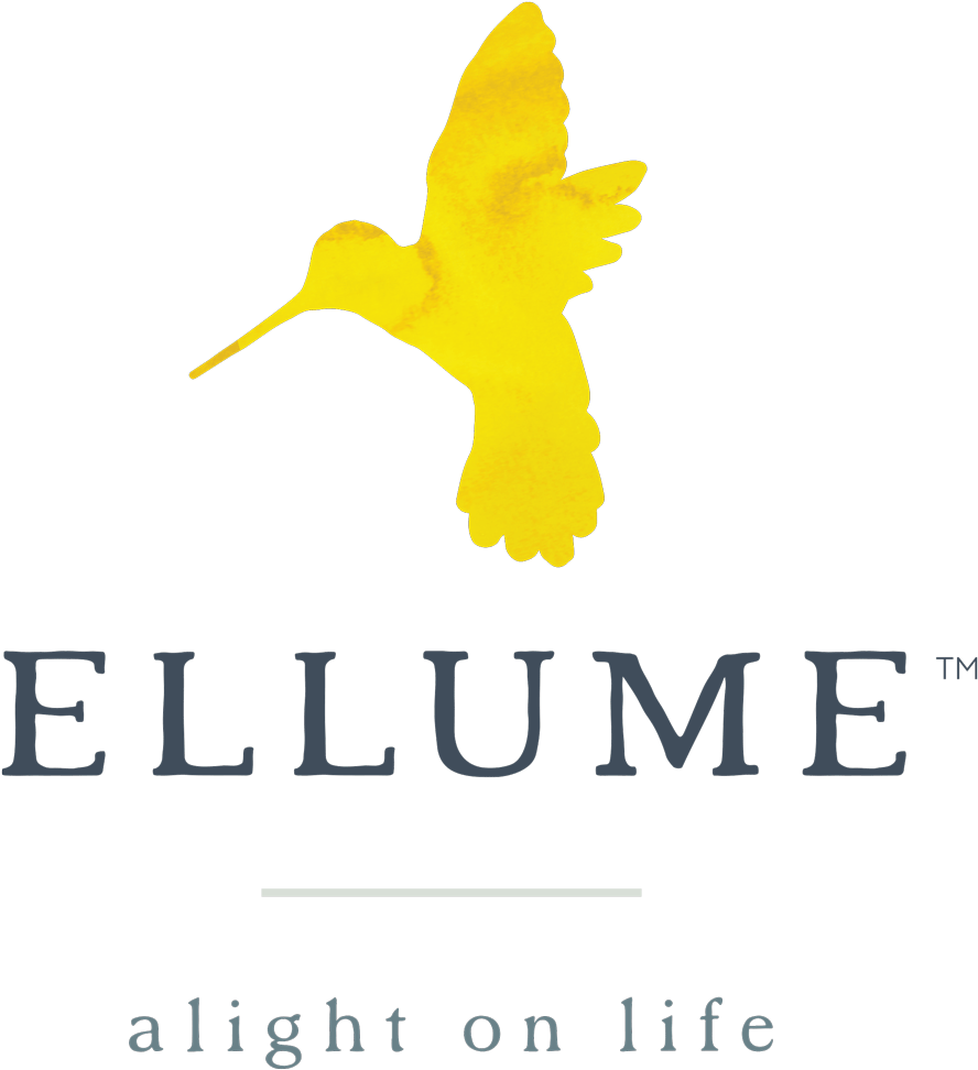 The Sustainable And Not So Sustainable Facts About Clipart (900x984), Png Download