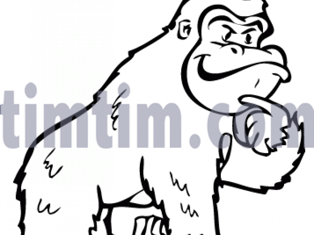 Drawn Gorilla Wild Animal Clipart (640x480), Png Download