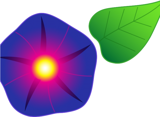 Morning Glory Clipart Black And White - Png Download (640x480), Png Download