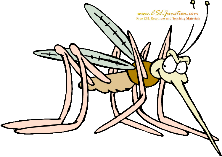 Bugs And Insects Esl Junction Mosquito Clipart (750x531), Png Download