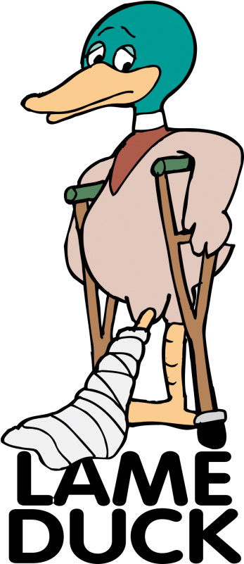 Free Download Lame Duck Clipart Lame Duck - Png Download (800x800), Png Download