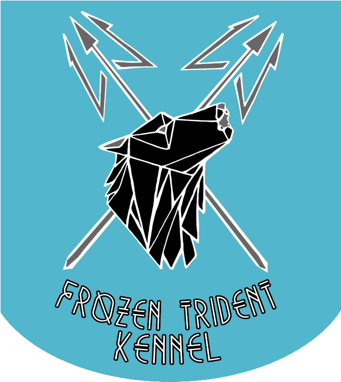 Graphic Design Services Available Clipart (738x800), Png Download