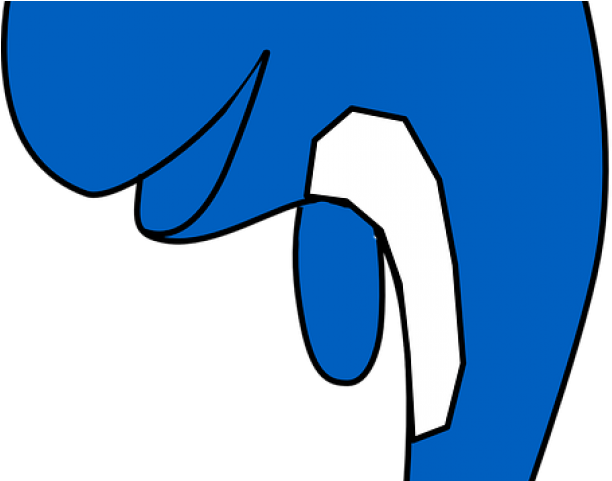 Whale Clipart Baleen Whale - Png Download (640x480), Png Download