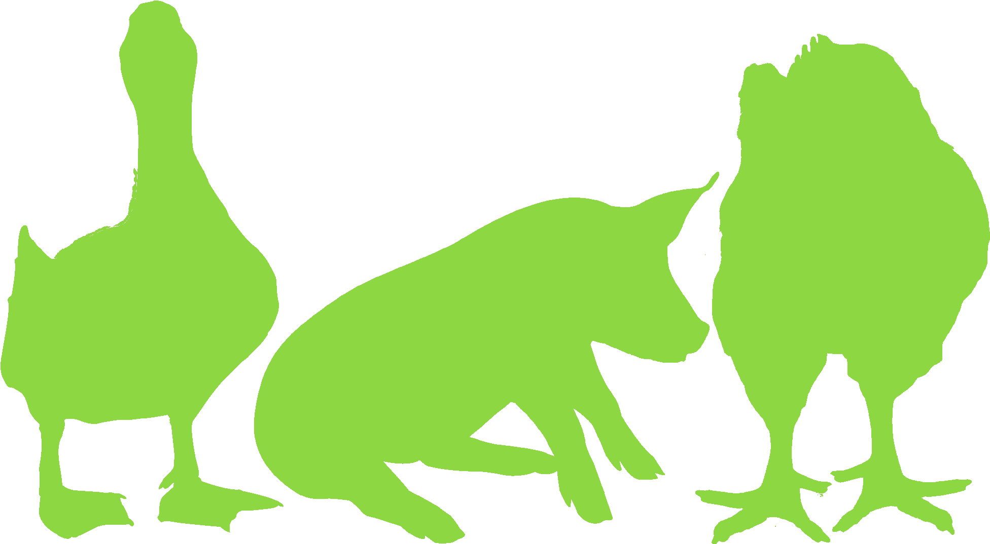 Export In Asian Country 20 % Clipart (2048x1130), Png Download