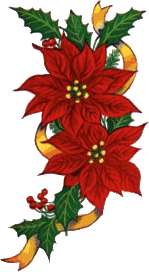 Fleurs De Noël / Clipart (500x913), Png Download