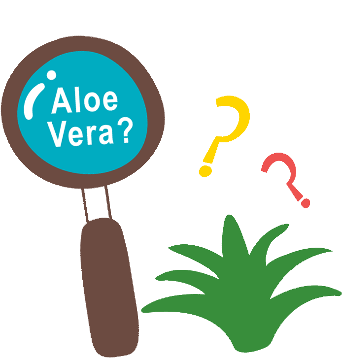 Alo Story Drink Alostory Clipart (725x752), Png Download