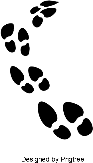 Llama Clipart Footprint - Png Download (800x800), Png Download