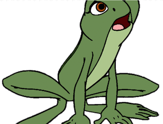 Green Frog Clipart Real Frog - Png Download (640x480), Png Download