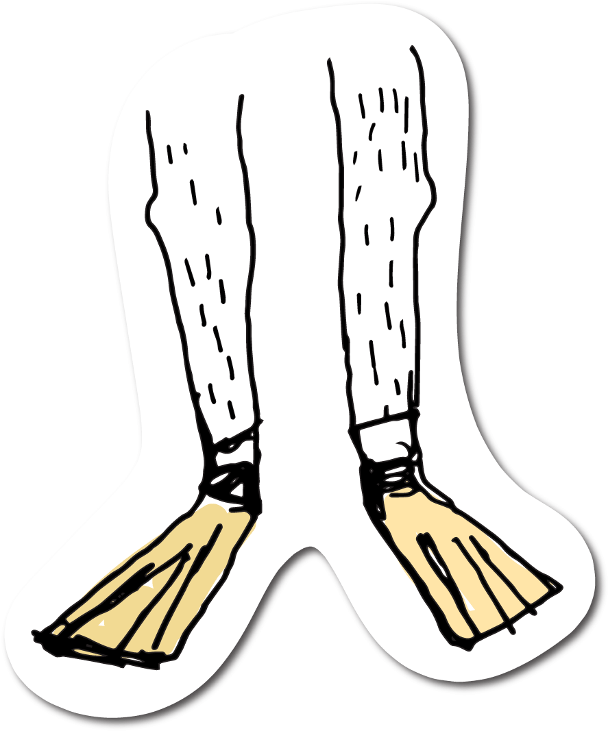 Some Elements On This Page Did Not Load Clipart (893x1073), Png Download