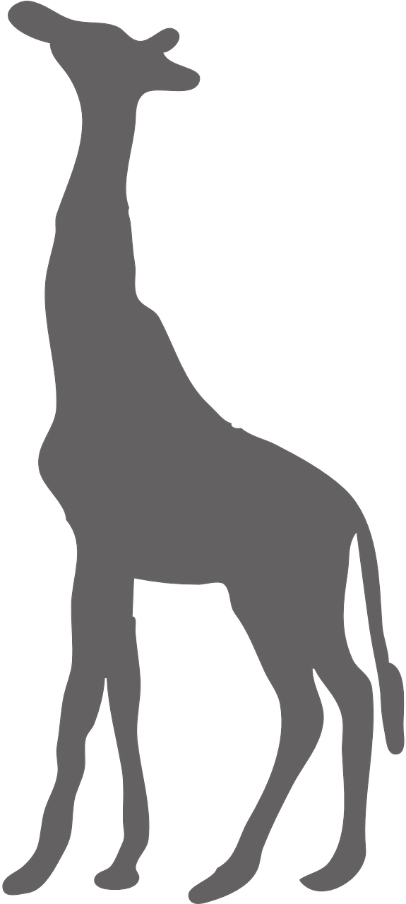 Giraffe Wild Animal Safari Png Image Clipart (640x1280), Png Download