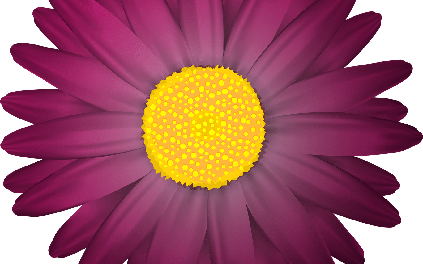 Dark Purple Flowers Clip Art Clipart - Png Download (1368x855), Png Download