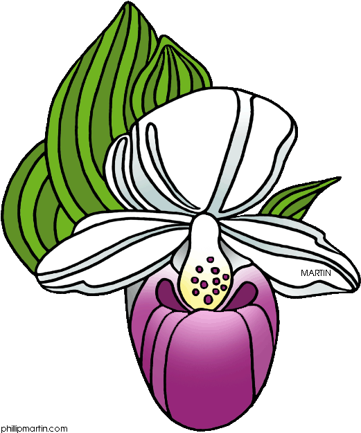 Clipart Info - Png Download (543x648), Png Download
