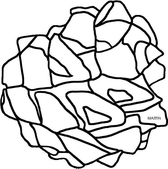 State Tree Of Nevada, Single Leaf Pinon Clipart (600x648), Png Download