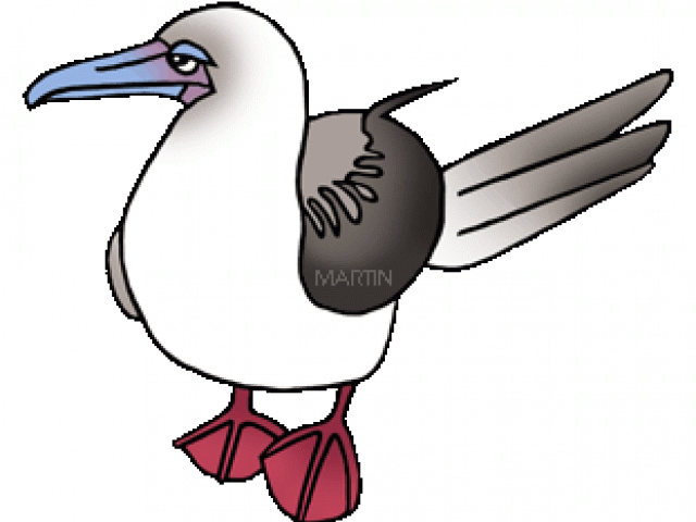 Brds Clipart Sea Bird - Png Download (640x480), Png Download