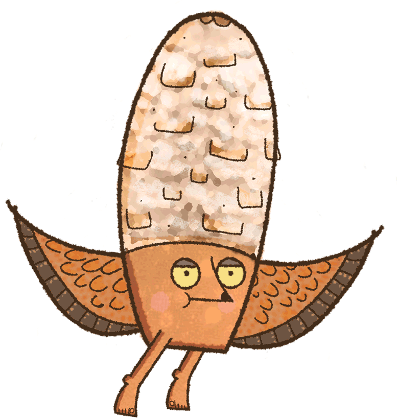 Foto Clipart (1024x1024), Png Download