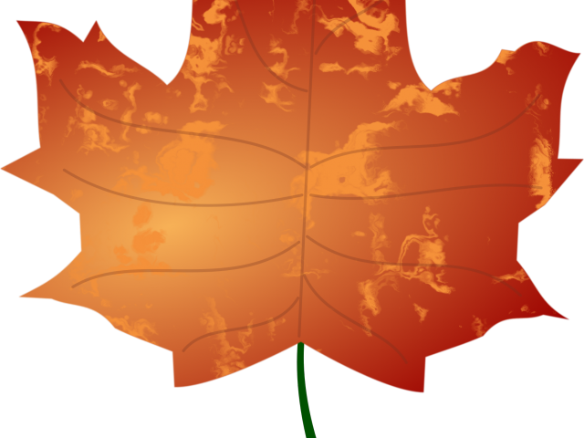 Foliage Clipart Autumn - Png Download (640x480), Png Download