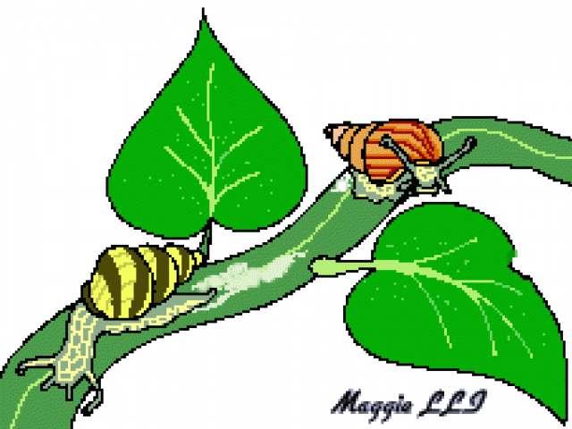 Snail Clipart Female - Png Download (640x480), Png Download