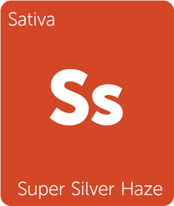 Loading Zoom Clipart (900x962), Png Download