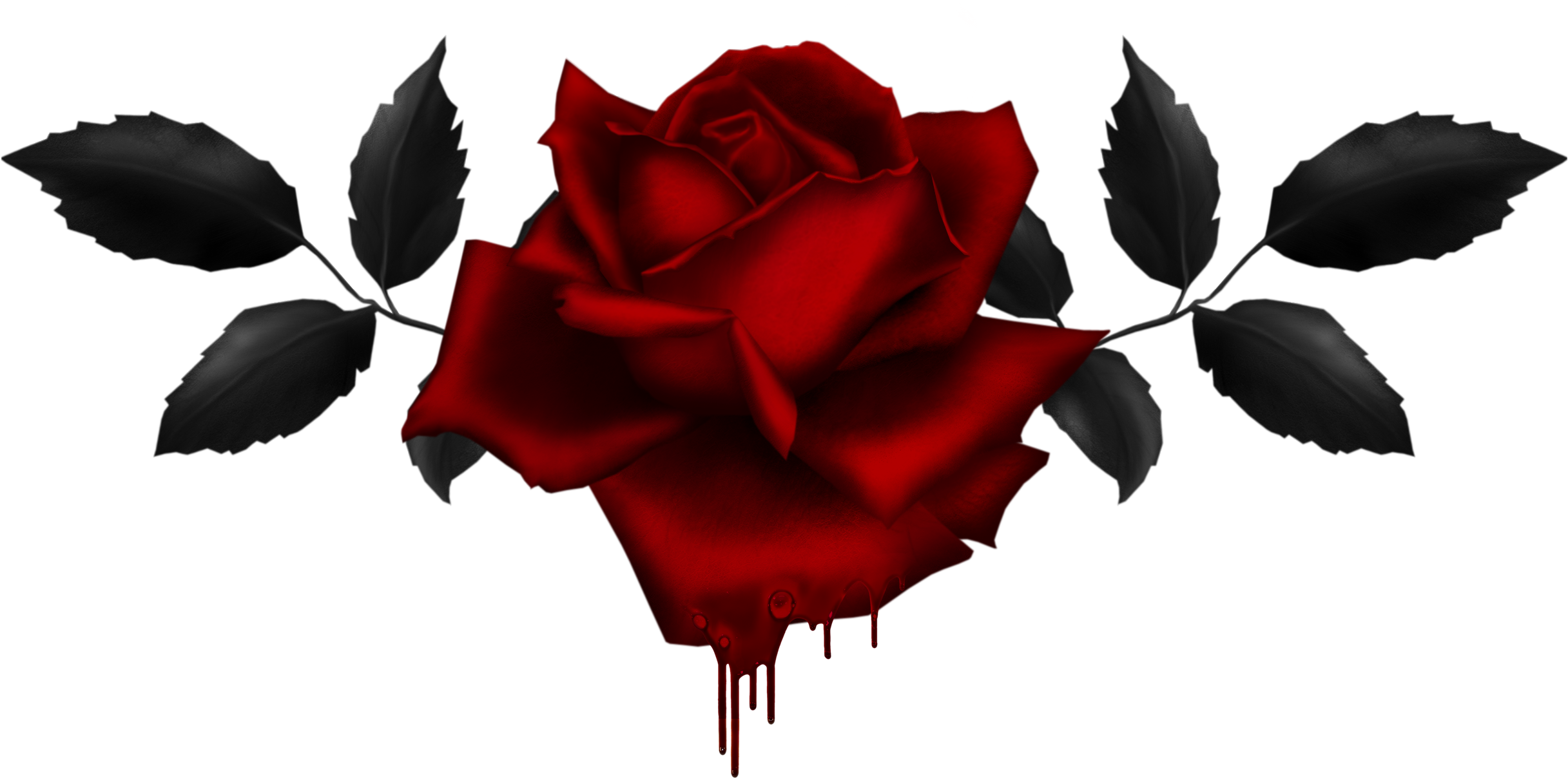 Red Rose Clipart Purple - Png Download (2544x1243), Png Download