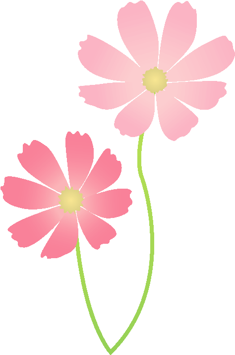 256 秋桜／コスモ - Clipart (500x754), Png Download