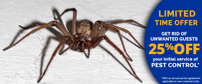 Pest Control Companies Shelburne Falls Ma Clipart (770x323), Png Download