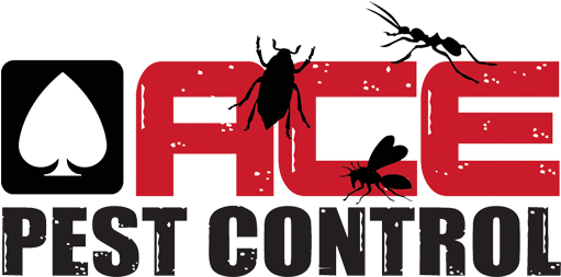 Best Plumbing In West Hollywood Ca Clipart (585x262), Png Download