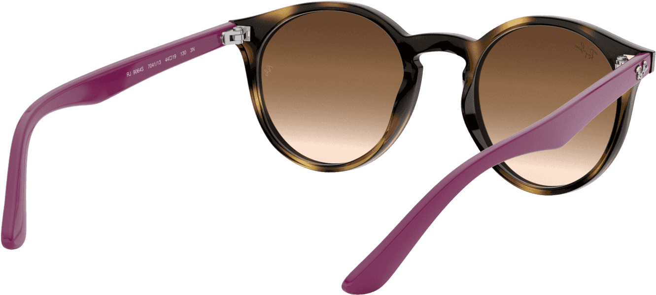 Keyhole Round Sunglasses In Havana Violet Clipart (1920x2000), Png Download