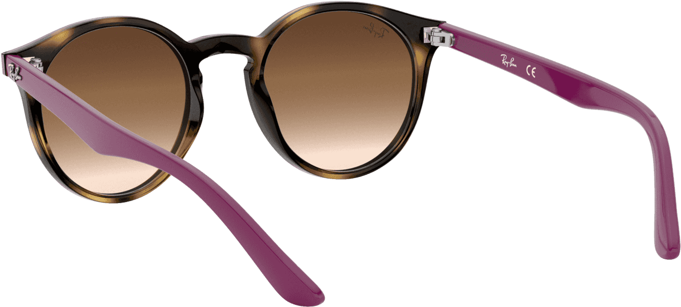 Keyhole Round Sunglasses In Havana Violet Clipart (1920x2000), Png Download