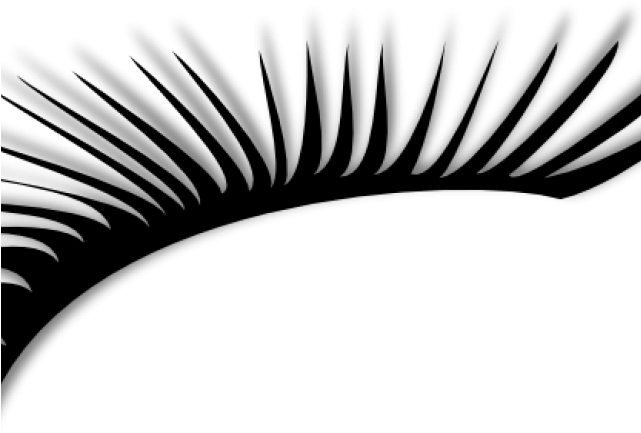 Eyelash Clipart Realistic - Png Download (640x480), Png Download