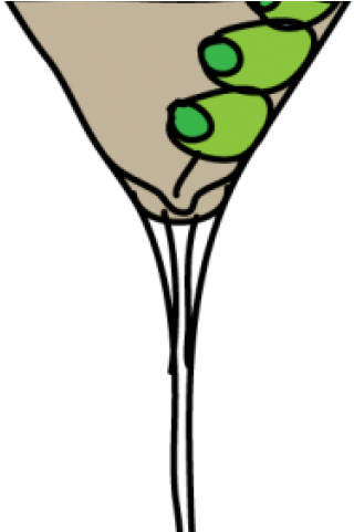 Martini Clipart - Png Download (640x480), Png Download