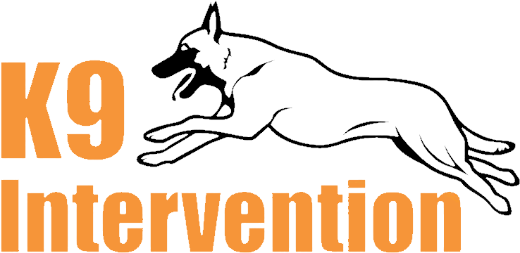 Dog Training Clipart (800x407), Png Download