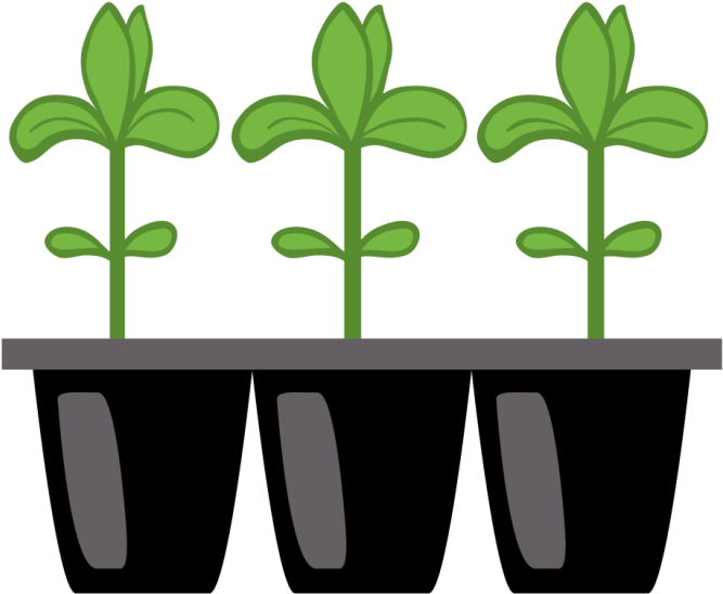 Master Gardener Spring Festival Clipart (700x592), Png Download