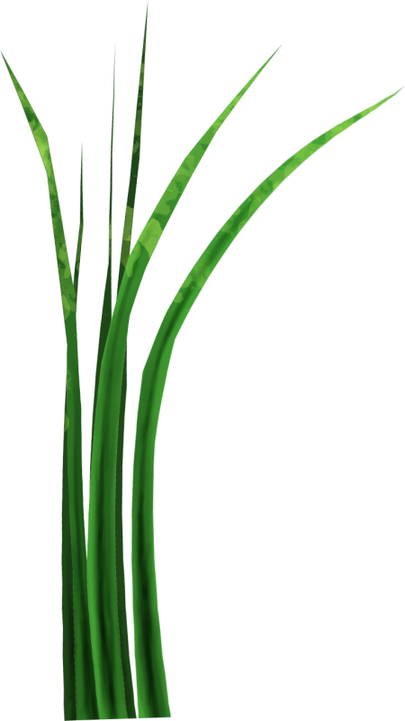 Вторник, 26 Февраля 2013 Г Clipart (450x800), Png Download