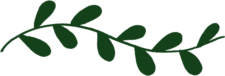 Mei Lin Barral Photography Clipart (1000x354), Png Download