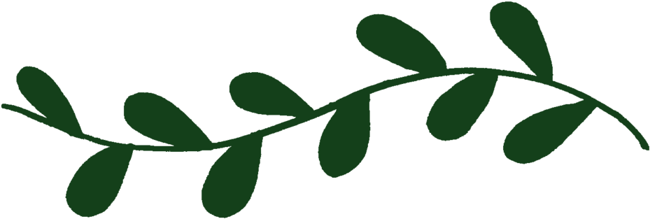 Mei Lin Barral Photography Clipart (1000x354), Png Download