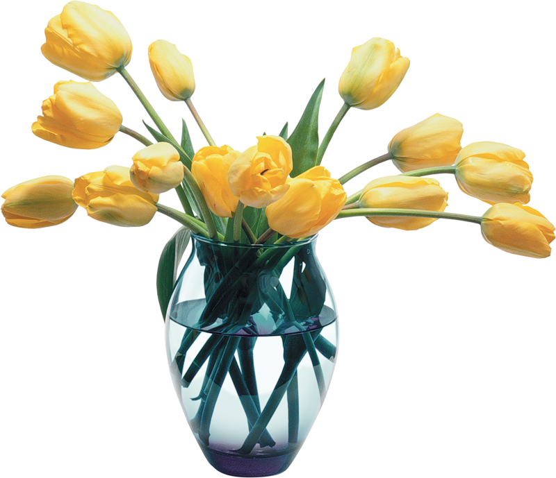 Lotka O Clipart (800x689), Png Download