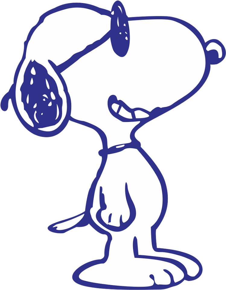 Shadi Card Clipart Png Download Full Size Clipart (2575911