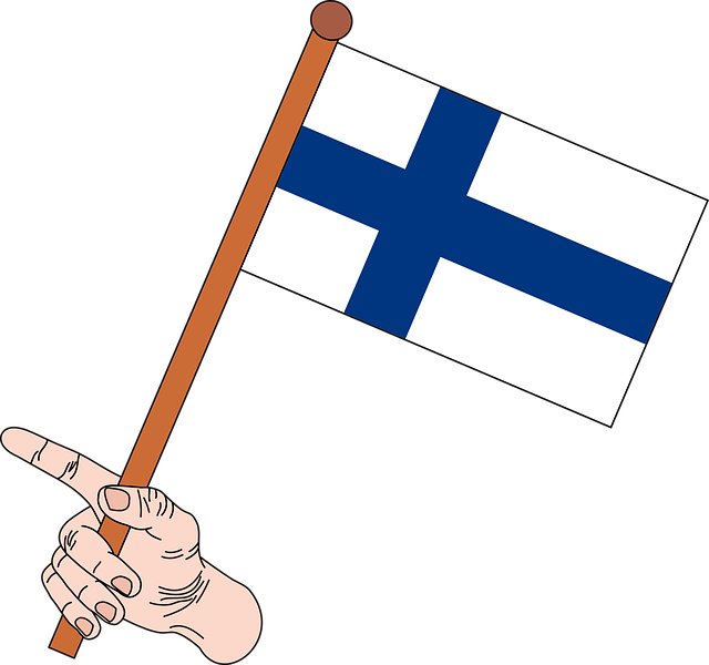 Flag, Flag Of Finland, Finland, Finnish Border Flag Clipart (640x600), Png Download