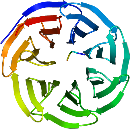 The Crystal Structure Of Wdr5 Bound To A 10 Residue Clipart (768x768), Png Download