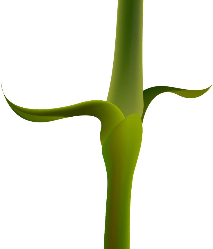 Red Carnation Png Clipart Image Gallery Yopriceville Transparent Png (1368x855), Png Download