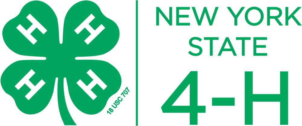 Nys Mission Vision Values New York State 4 H Youth Clipart (1000x475), Png Download