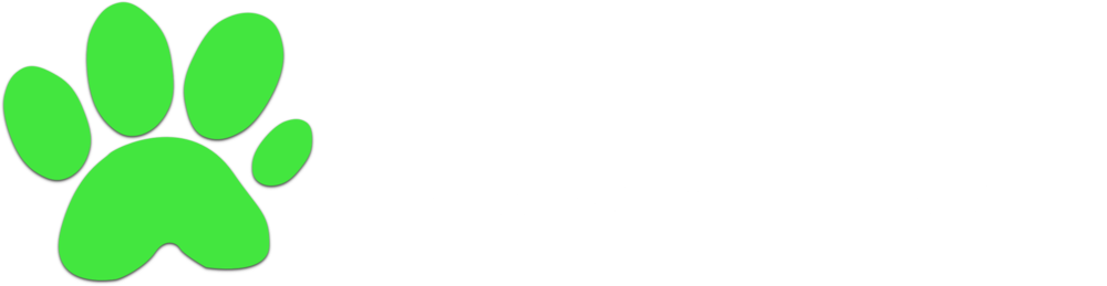 Steamer Lee - Dog Photography - Southern California Clipart (1000x259), Png Download