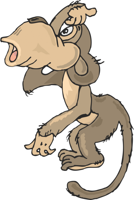 Free Gif Animation Free Clip Arts Download Clipart - Png Download (800x800), Png Download