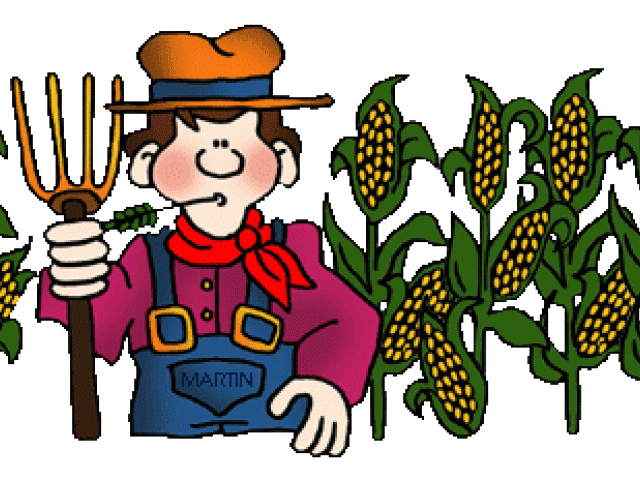 Cornfield Clipart Food Crop - Png Download (640x480), Png Download