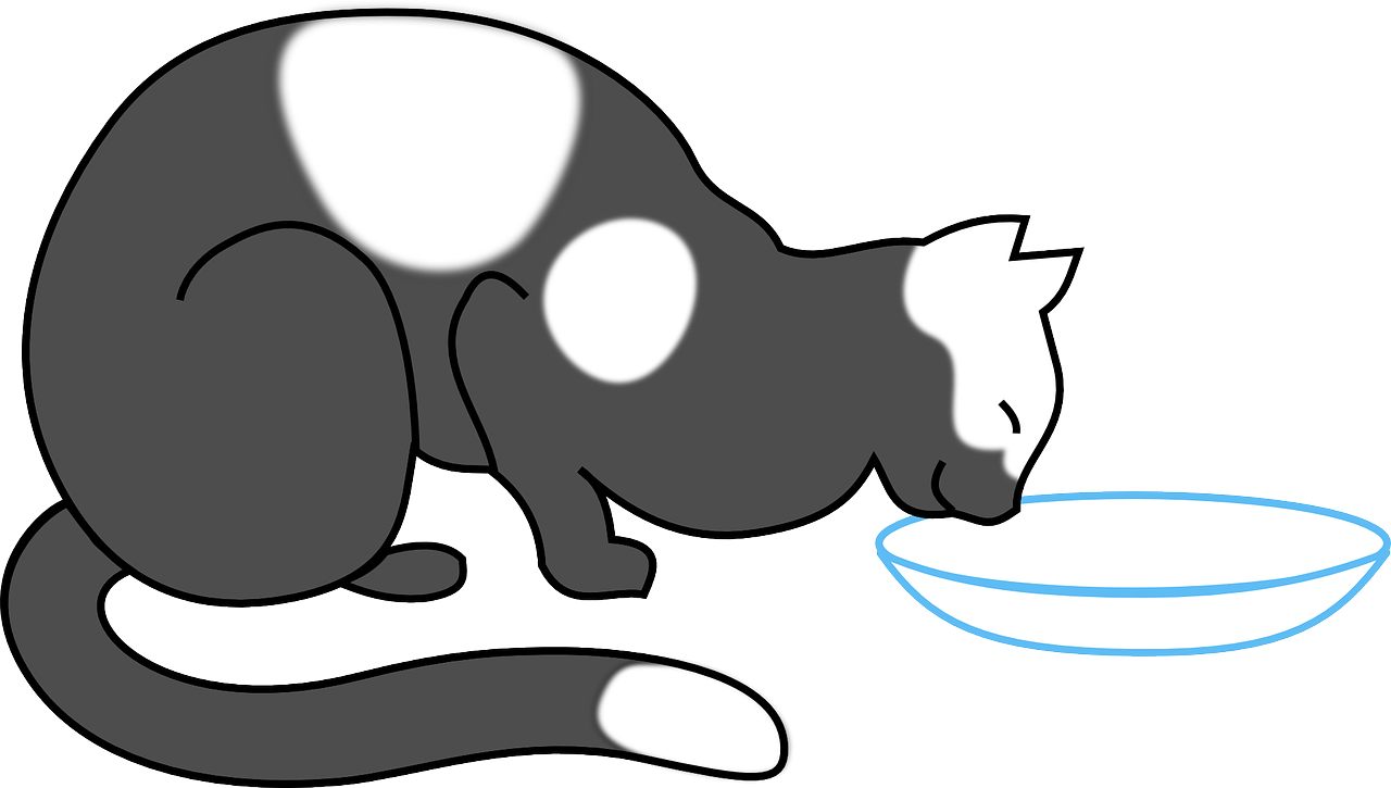 Cat Animal Drinking Eating Png Image Clipart (1280x725), Png Download